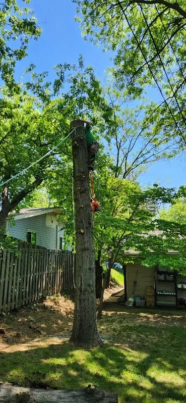 Tree trimming project in Jefferson County